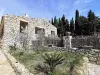 Exterieurs de la vente d'une maison d'hôte - gîte - à vendre avec piscine - à Perpignan -  (7).webp